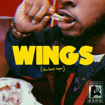 Wings by vinchi