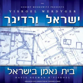 Bayis Neeman B'Yisroel by Yisroel Werdyger