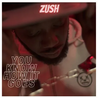 You Know How It Goes by Zush