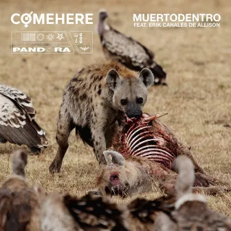 MuertoDentro by Comehere