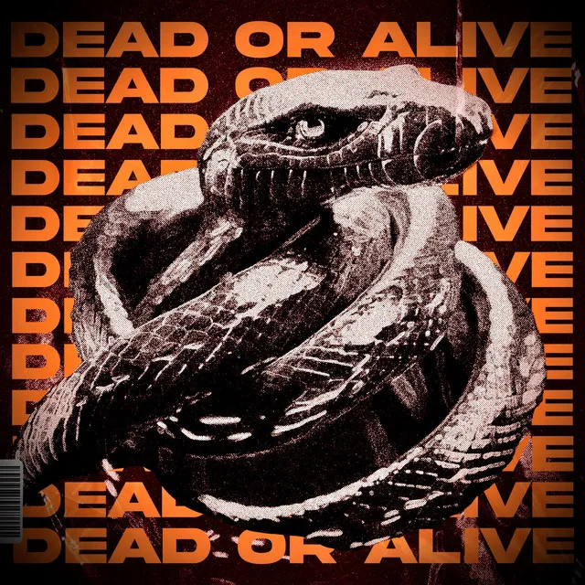 Dead Or Alive - V2