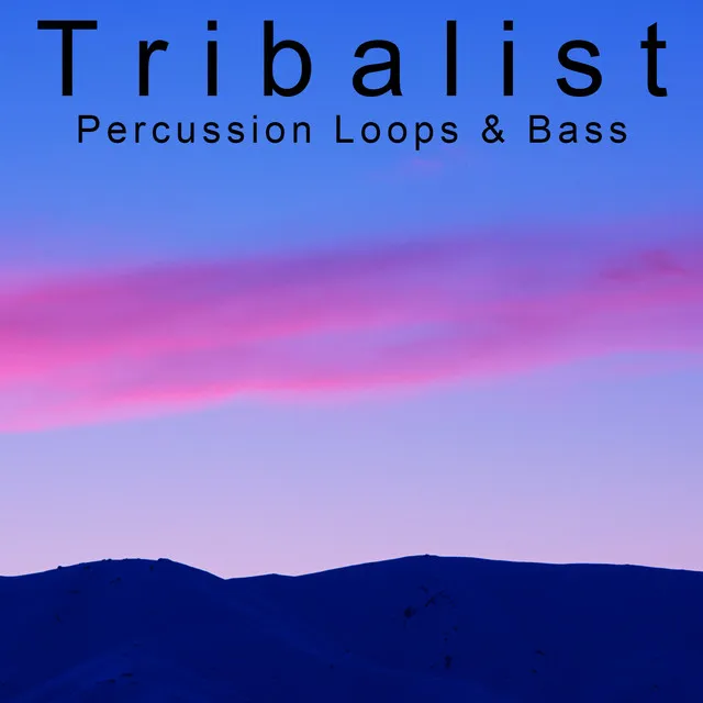 Percussion Loops & Bass