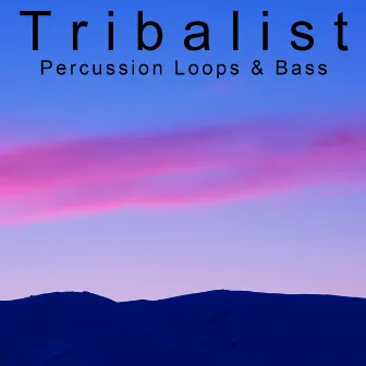 Percussion Loops & Bass by Tribalist