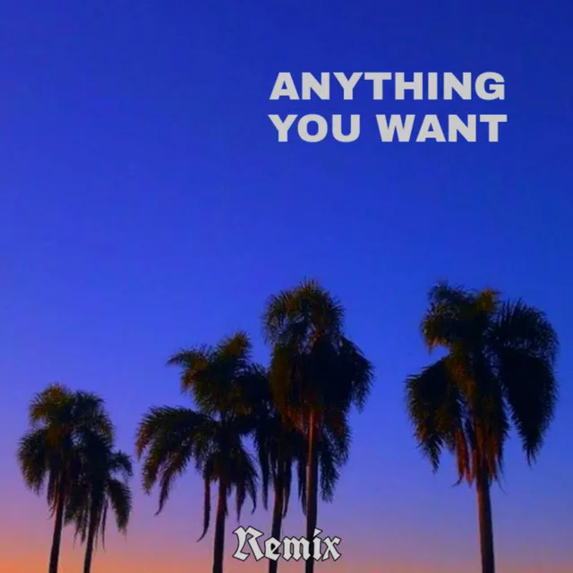 Anything You Want - Extended Remix