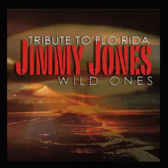 Wild Ones (tribute To Flo Rida) by Jimmy Jones