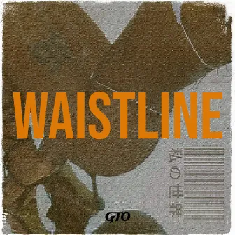 Waistline by GTO