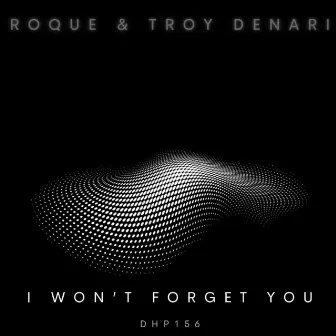 I Won't Forget You by Troy Denari