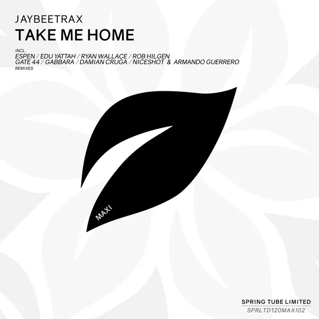 Take Me Home - Ryan Wallace Remix