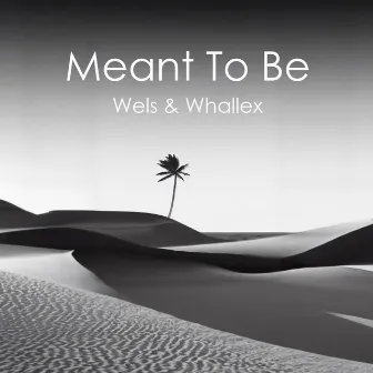 Meant To Be by Wels