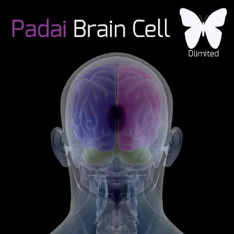 Brain Cell by Padai