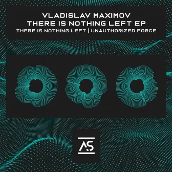 There Is Nothing Left by Vladislav Maximov