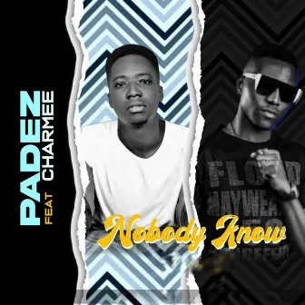 Nobody Know (Cover) by Padez