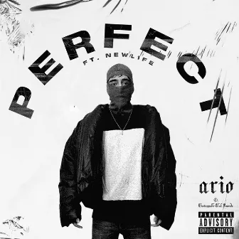 Perfect by Ario