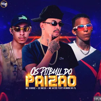 Os Pitbull do Paizão by Mc Dexx