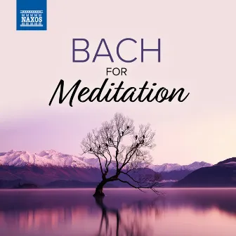 Bach For Meditation by Jeffrey McFadden