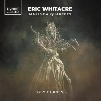 Eric Whitacre: Marimba Quartets by Joby Burgess