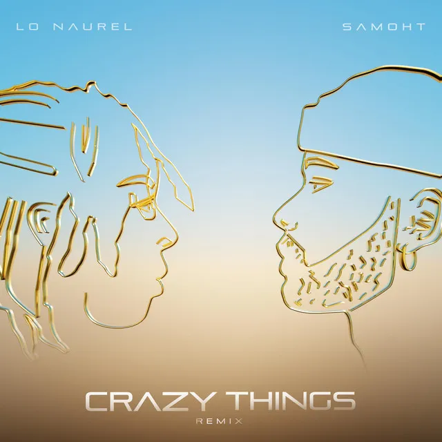 Crazy Things - Remix