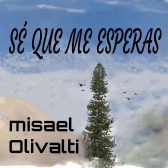 Sé que me Esperas by Misael Olivalti