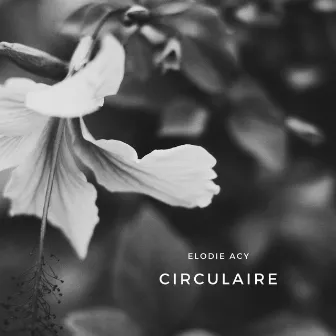 Circulaire by Elodie Acy