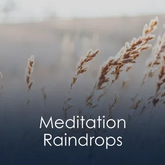 Meditation Raindrops by The Rain Guru