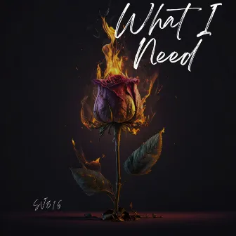 What I Need by SV816