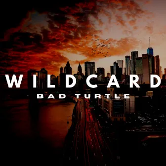 WILDCARD (Beat) by Bad Turtle