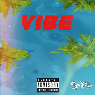 Vibe by So-Kin