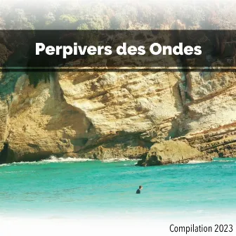 Perpivers des Ondes Compilation 2023 by Benny Montaquila DJ