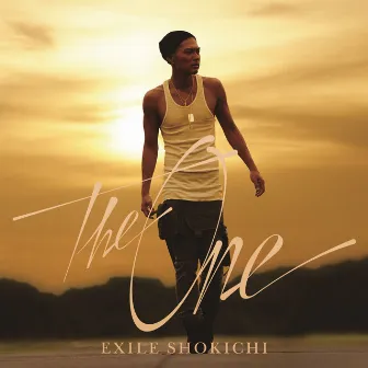 The One by EXILE SHOKICHI