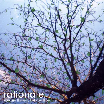 You Are Flawed, but You'll Be Fine. by rationale.