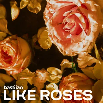 Like Roses by bastiian