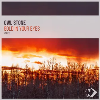 Gold in Your Eyes by Owl Stone