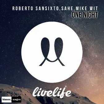 One Night by Roberto Sansixto