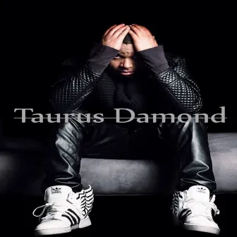 Til We Burn (feat. Shara Wilson) - Single by Taurus Damond