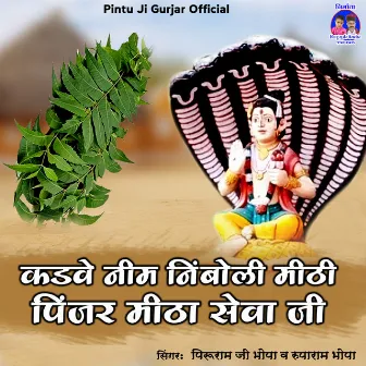 Kadwe Neem Nimboli Meethi Pinjar Meetha Seva Ji (Rajasthani) by Peeru Ram Ji Bhopa