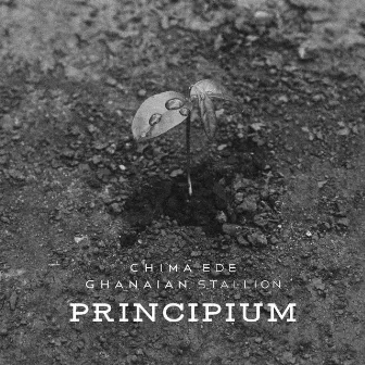 Principium by Ghanaian Stallion