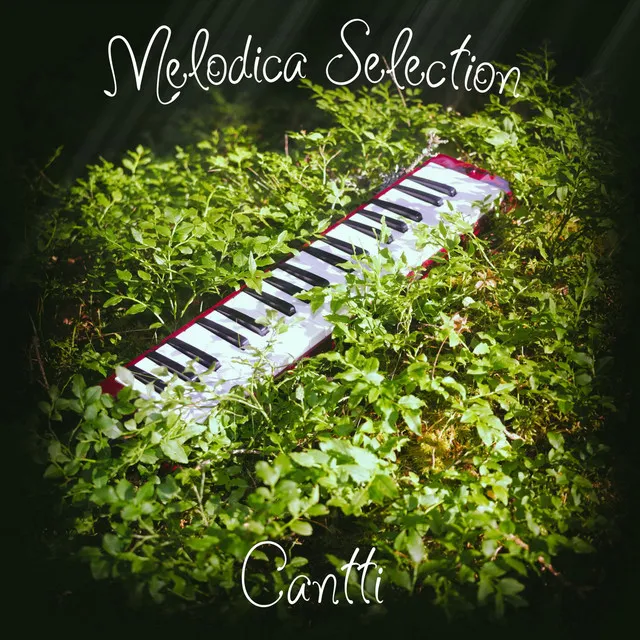 Melodica Selection