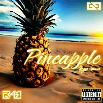 PiNEAPPLE by GRAMZ