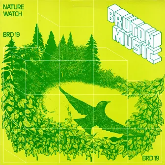 Bruton BRD19: Nature Watch by Brian Laurence Bennett