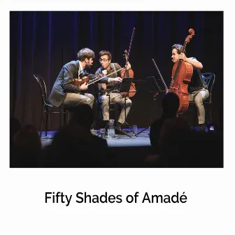 Fifty Shades of Amadé: I. Der Wolf ging, doch Wolf gang (Live) by Florian Willeitner