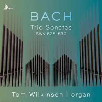 Bach: Trio Sonatas for Organ, BWVV 525-530 by Tom Wilkinson