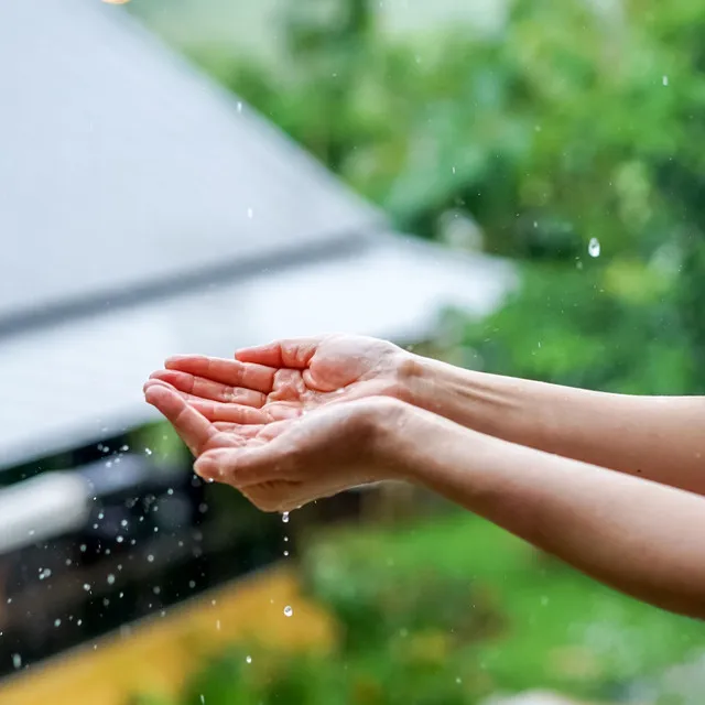 Cleansing Drops of Serene Rainfall Bliss