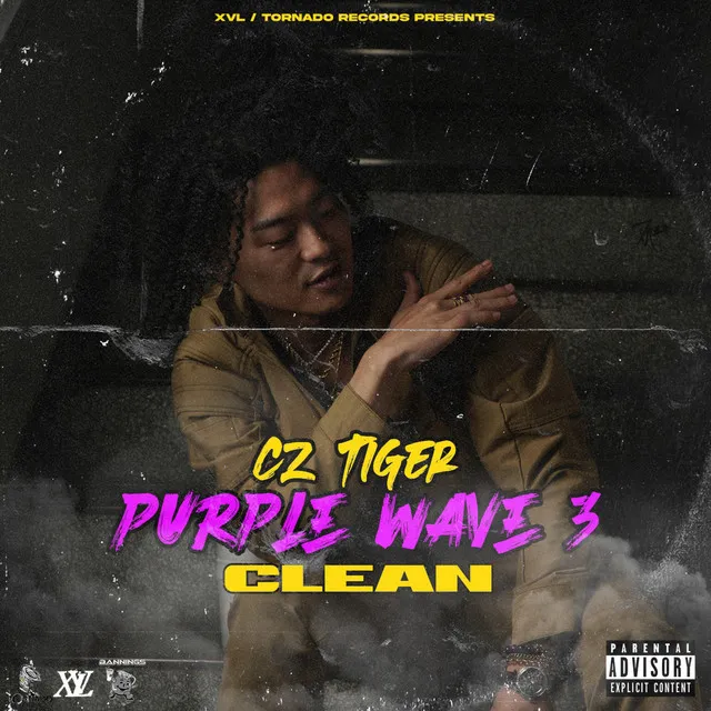 PURPLE WAVE 3 - CLEAN