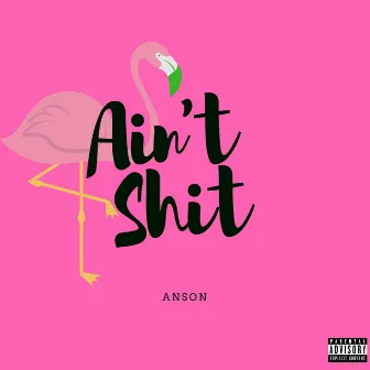 Ain't Shit by Anson