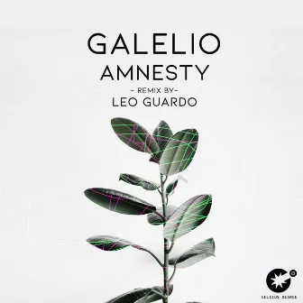 Amnesty by Galelio