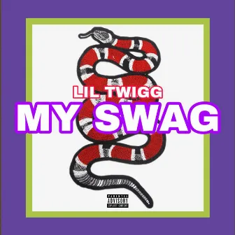 My Swag by Lil Twigg