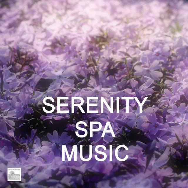 Divine Spa Music Series