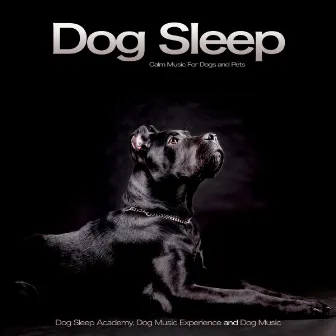 Dog Sleep: Calm Music For Dogs and Pets by Dog Music Experience