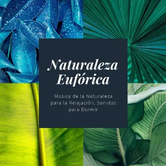 Naturaleza Eufórica: Música de la Naturaleza para la Relajación, Sonidos para Dormir by Ludovico Allevia