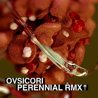 Perennial RMX by OVSICORI